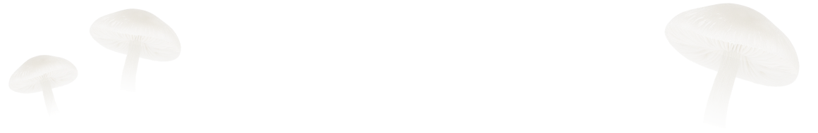 поиск